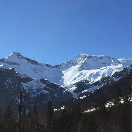 Silberdistel B11 By Interhome