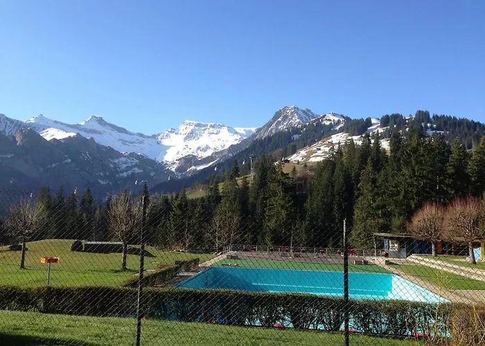 Silberdistel B11 By Interhome Adelboden