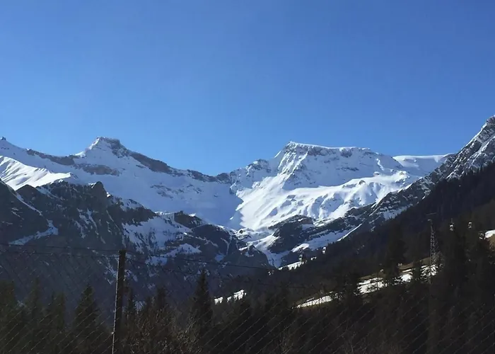 Silberdistel B11 By Interhome