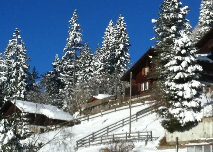 Silberdistel B11 By Interhome * Adelboden