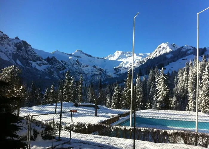 Silberdistel B11 By Interhome Lejlighed Adelboden