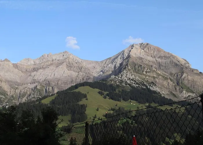 Silberdistel B11 By Interhome Adelboden